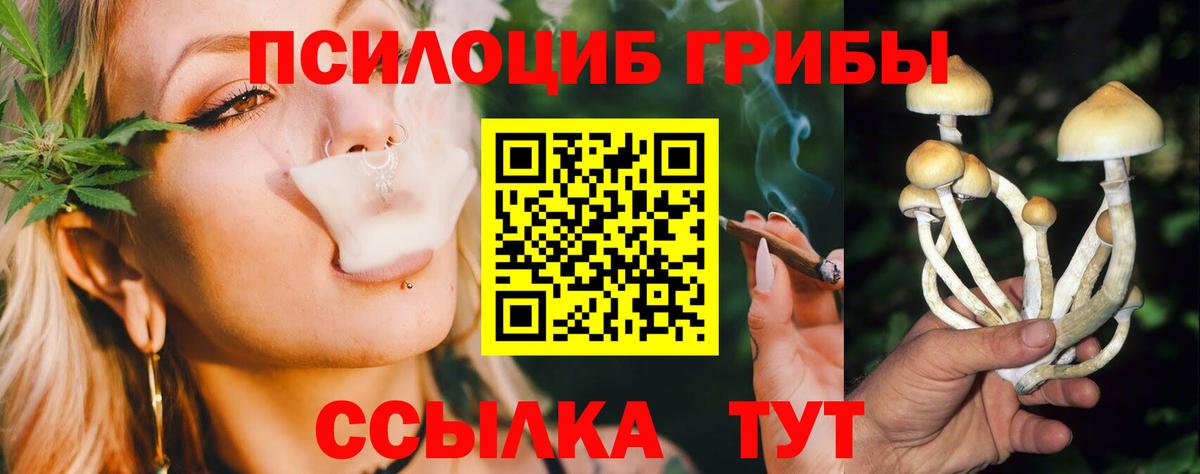 Галлюциногенные грибы GOLDEN TEACHER Искитим